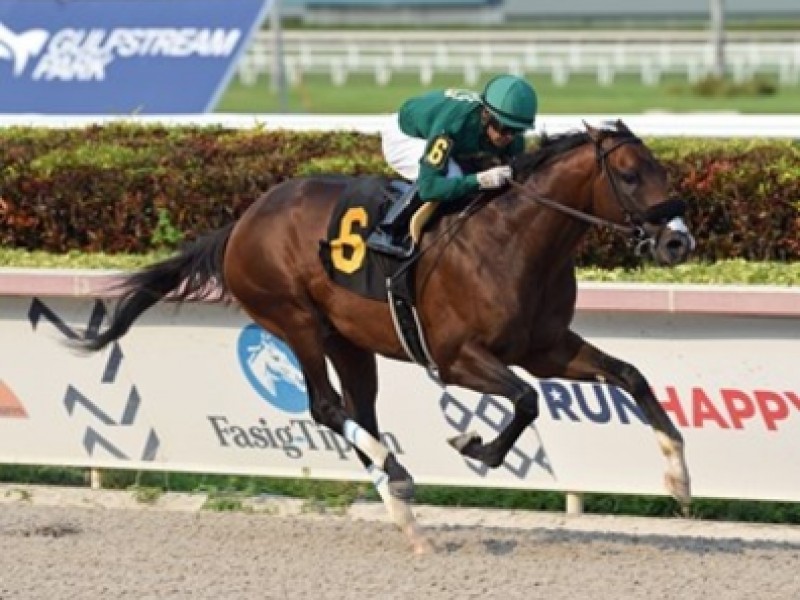 Pegasus World Cup Contenders Complete Final Preparations Image 1